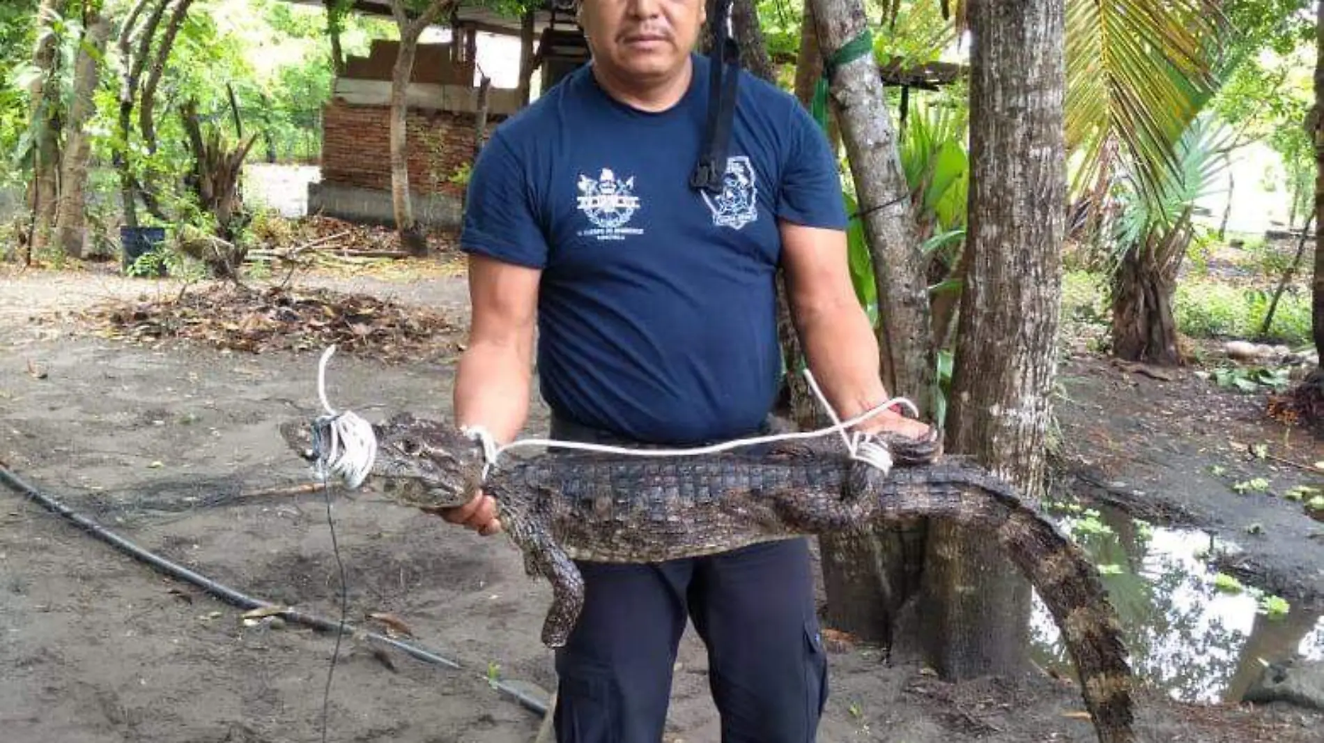 bomberos copia